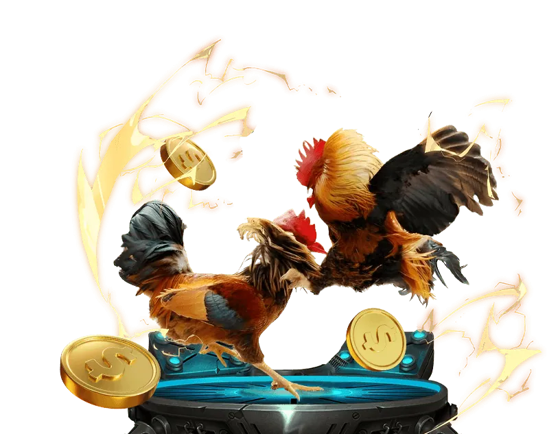 Tổng quan nền tảng rix vip